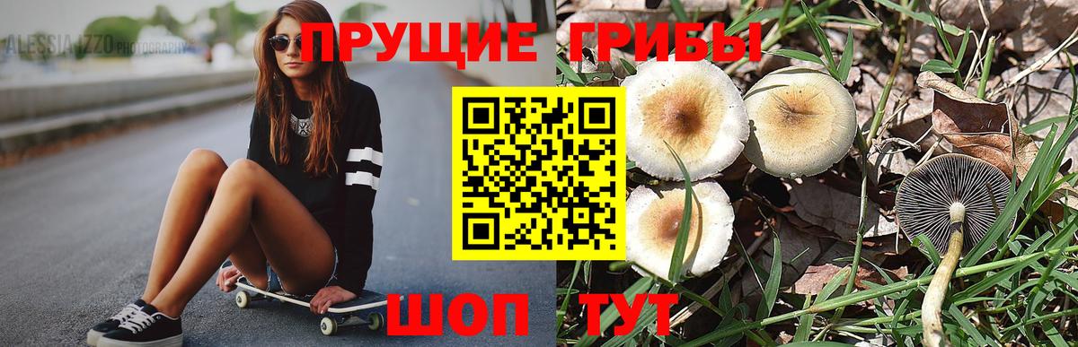 Псилоцибиновые грибы прущие грибы Серов